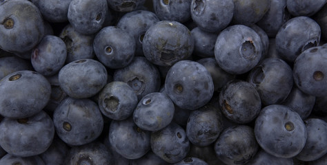 Blaubeeren