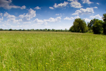 prairie