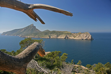 Blick auf Dracheninsel - Mallorca