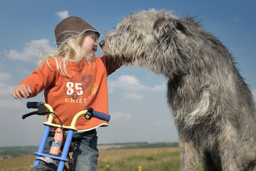 Kleinkind auf Laufrad wird beschnuppert von Irish Wolfhound