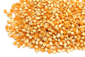 grains de maïs à pop-corn