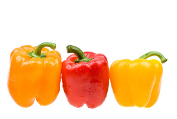 Close-up color paprika with water drops isolated on white