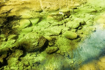 mirror of the water