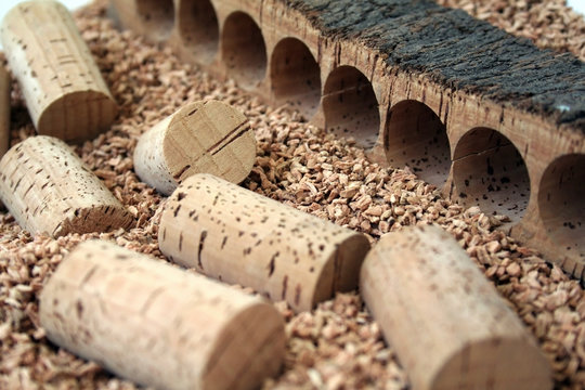 Cork Stoppers-Rolhas-Corti&ccedil;a-Li&egrave;ge-Bouchons-Tapones-Sobreiro