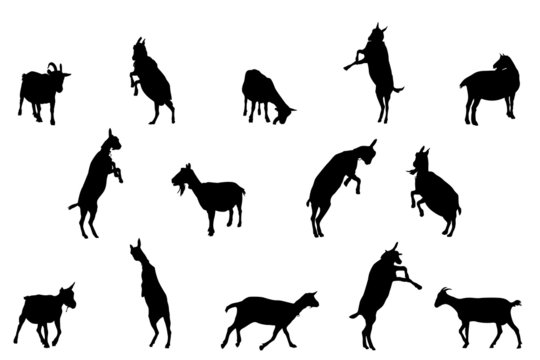 Download 19 881 Best Goat Silhouette Images Stock Photos Vectors Adobe Stock