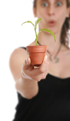 plante en pot dans main de femme etonnee