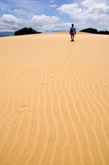 Desert with man going away