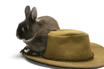 Sortir un lapin du chapeau