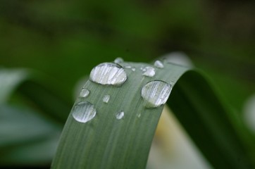 goutte d'eau 4