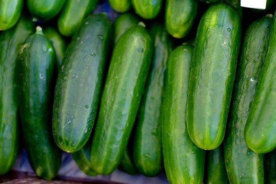 Zucchini
