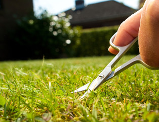 cutting lawn with nail scissors