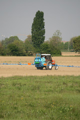 Fototapeta premium trattore