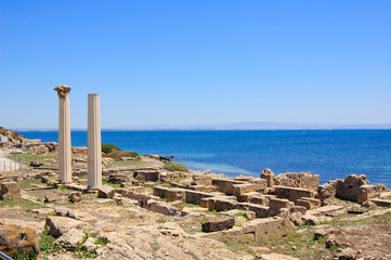 Tharros Romanic Colums