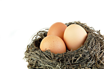 Three Brown Eggs in a Nest