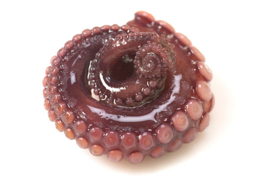 Tentacle