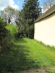 Obraz premium Allée de pelouse et mur clair.