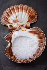 sea salt in scallop shell on black rock background