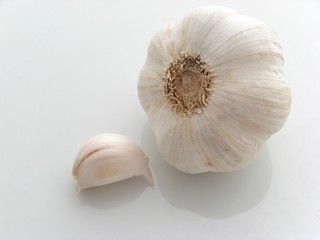 Knoblauch
