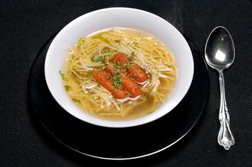 Chicken noodle soup