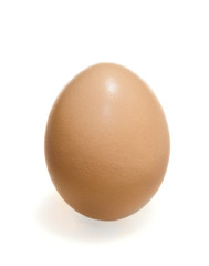 Brown egg vertical
