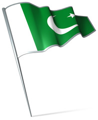 Flag pin - Pakistan