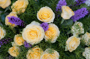 yellow roses