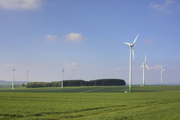 Windr&auml;der und Wald