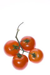 Tomatoes