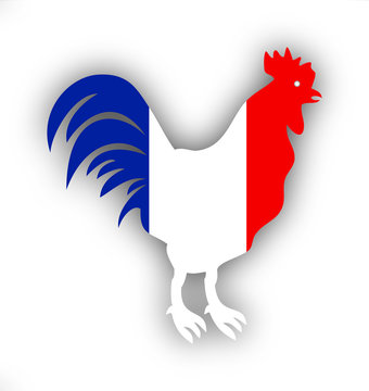 Coq Gaulois