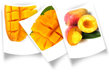 des mangues sur des photos courbes polaroïd