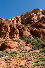 Fototapeta premium Scenic red rocks in Sedona