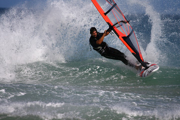 Windsurfer