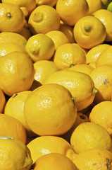 Pile of Lemons at a Farmers Market