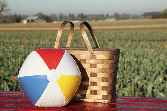 Picnic basket andbeach ball outdorrs in tulip flower field