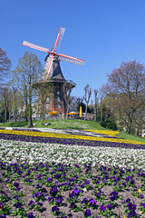 Wallanlagen in Bremen, bepflanzt zum Kirchentag