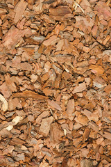 holzrinde