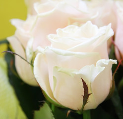 Beautiful wedding bunch of pale pink roses