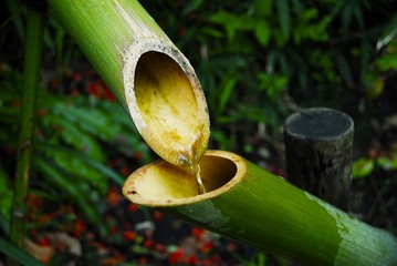 fontaine de bambou