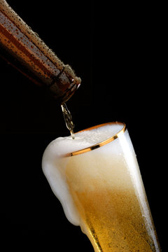 Bier