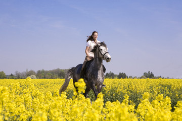 ritt durch das feld