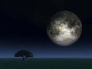 Glasschilderij Volle maan en bomen volle maan