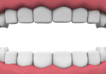 Denture close-up