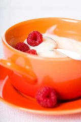 pudding with raspberries