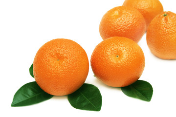 Tangerines.