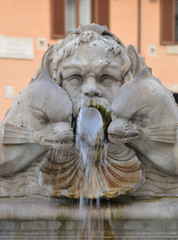 Naklejka premium Delfines Plaza Navona