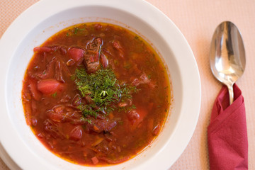 Traditional borscht plate - famous Ukrainian cuisine