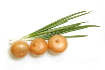 Obraz na płótnie Canvas Green onion