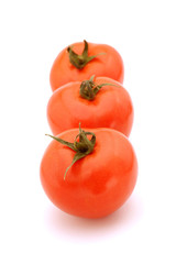 Row of tomato