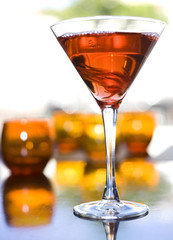 Hibiscus martini