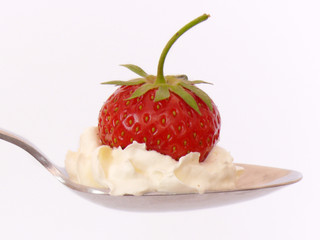 Erdbeere mit Sahne